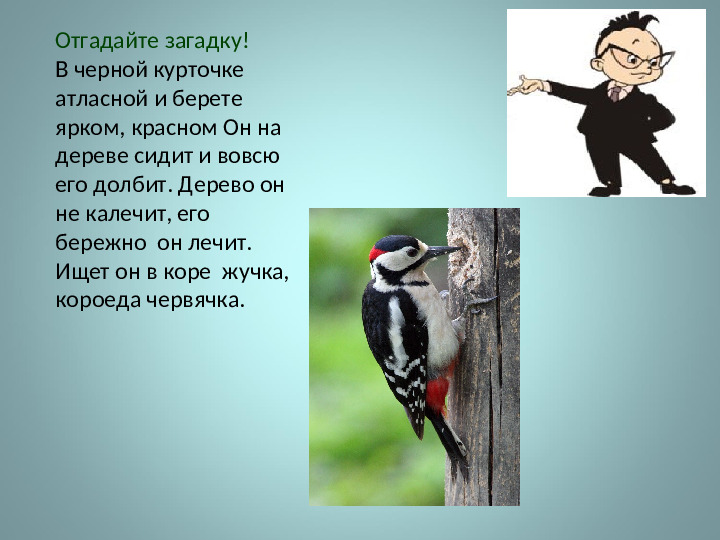 Презентация на тему: "Виртуальная экскурсия"