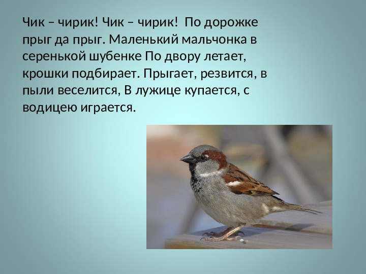Презентация на тему: "Виртуальная экскурсия"