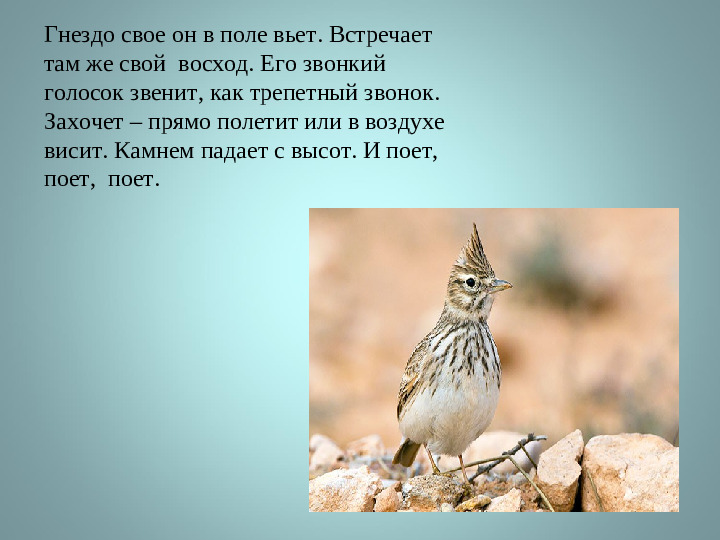 Презентация на тему: "Виртуальная экскурсия"
