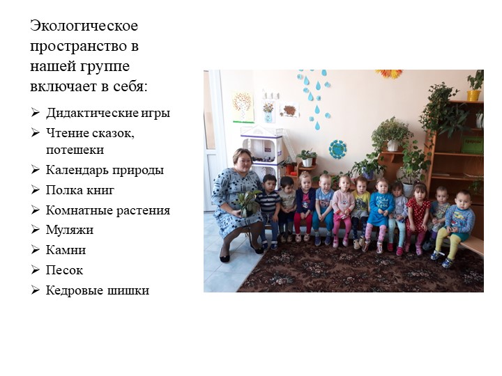 Презентация родительское собрание в младшей группе "Экология и мы"