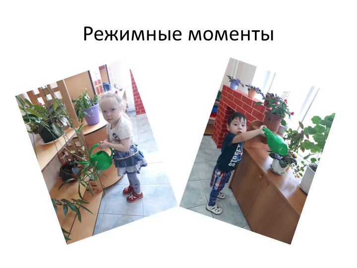 Презентация родительское собрание в младшей группе "Экология и мы"