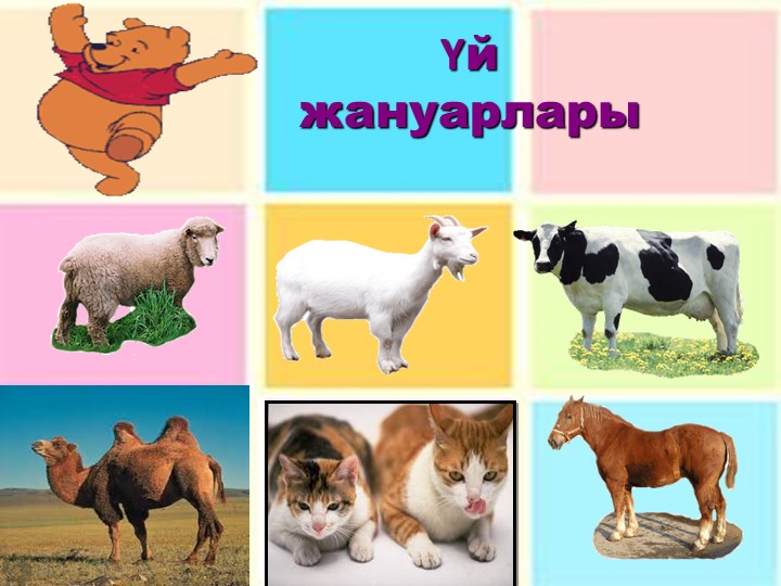 Презентация по развитию речи