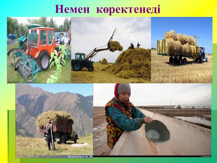 Презентация по развитию речи