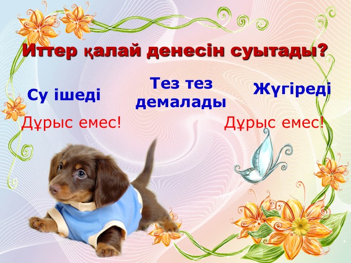 Презентация по развитию речи