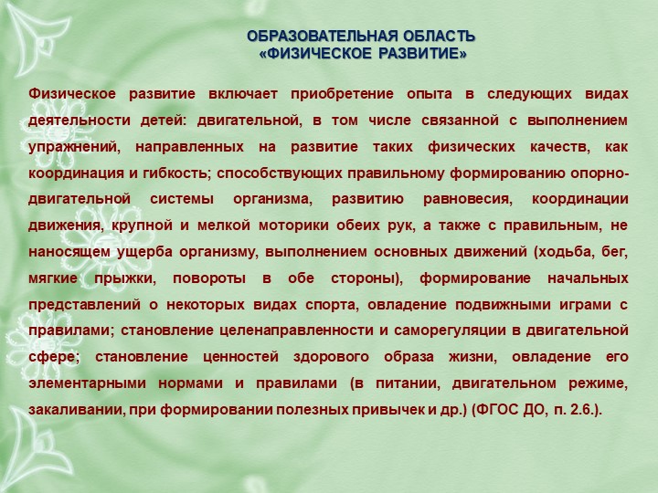 РАБОЧАЯ ПРОГРАММА воспитателя подготовительной группы