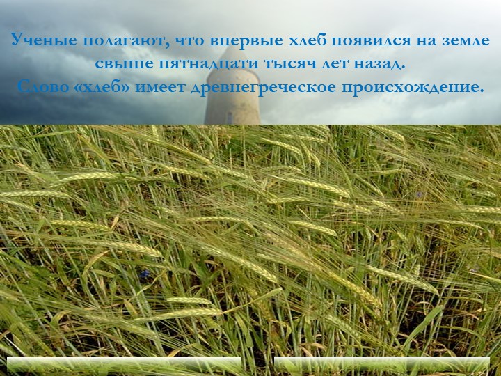 Презентация "Хлеб - всему голова"