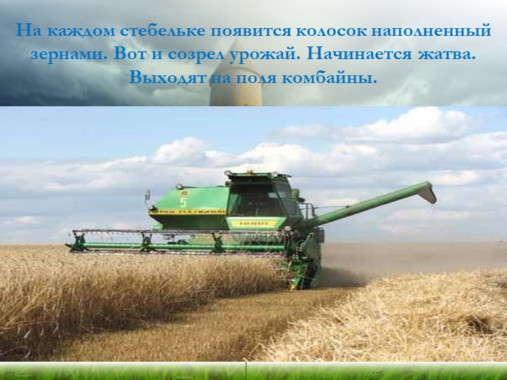 Презентация "Хлеб - всему голова"