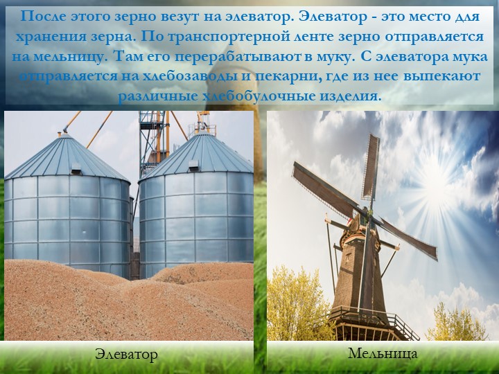 Презентация "Хлеб - всему голова"