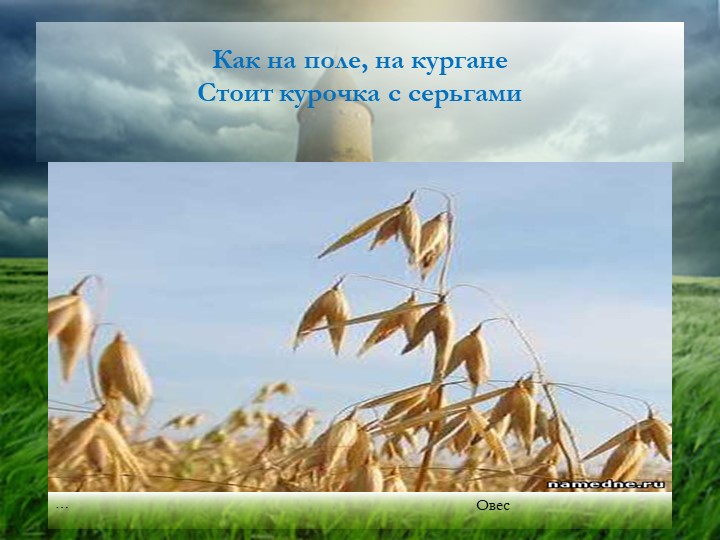 Презентация "Хлеб - всему голова"