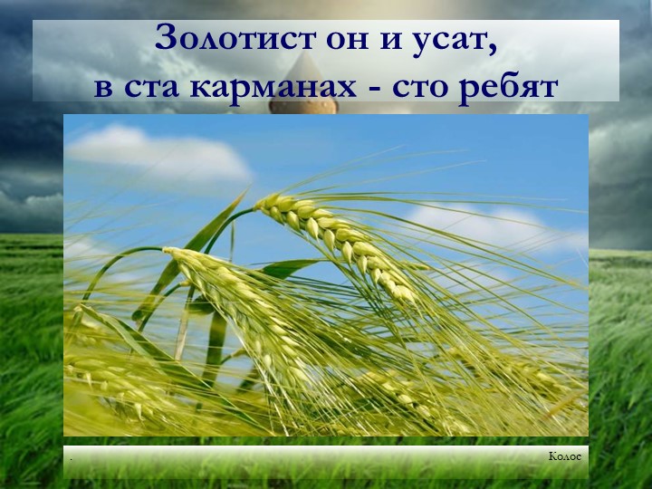 Презентация "Хлеб - всему голова"