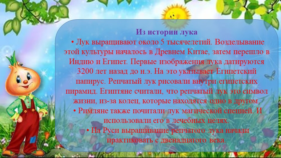 Презентация проекта "Лук от семи недуг"