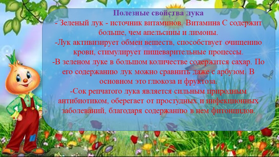 Презентация проекта "Лук от семи недуг"