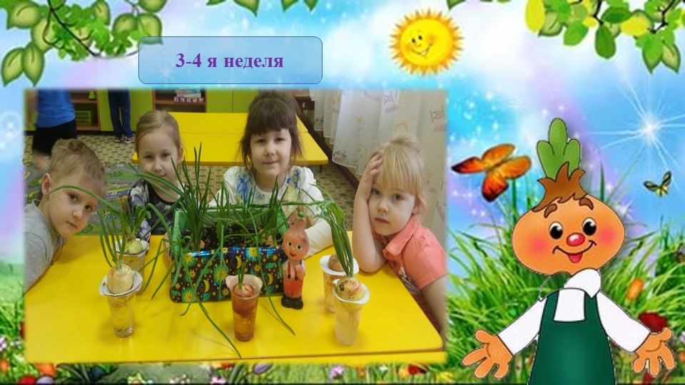 Презентация проекта "Лук от семи недуг"