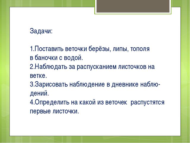 Весна на окне. Презентация для детей