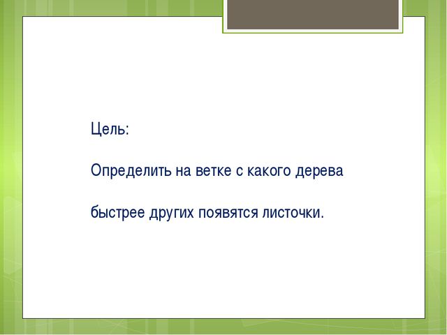 Весна на окне. Презентация для детей