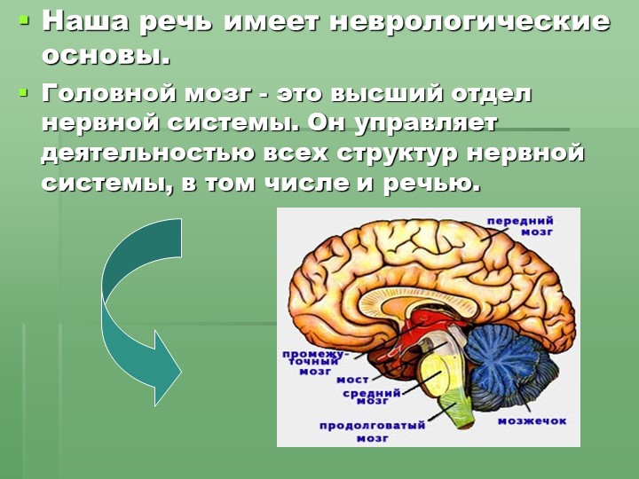 Отчёт по самообразованию «Влияние пальчиковых игр на речевое развитие детей».