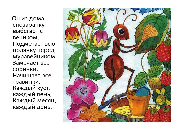 Презентация на тему "Сказка про лекарственные травы"