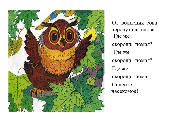 Презентация на тему "Сказка про лекарственные травы"