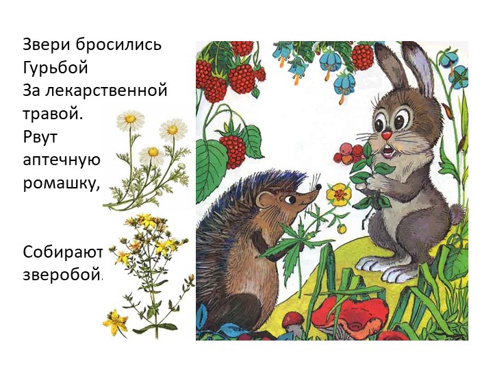 Презентация на тему "Сказка про лекарственные травы"