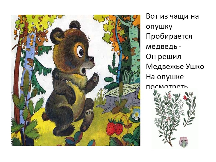 Презентация на тему "Сказка про лекарственные травы"
