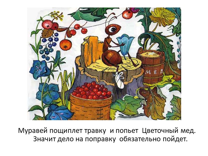 Презентация на тему "Сказка про лекарственные травы"