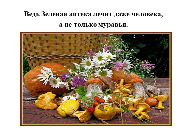 Презентация на тему "Сказка про лекарственные травы"