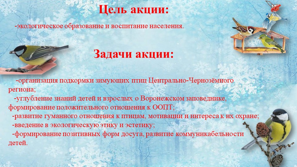 Презентация птицы зимой 1 класс. Цели и задачи акции столовая для птиц. Организация подкормки зимующих птиц календарь. Экологическая акция береги птиц зимой цель учащихся.