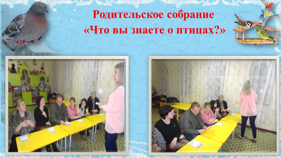 Презентация проекта "Покормите птиц зимой"