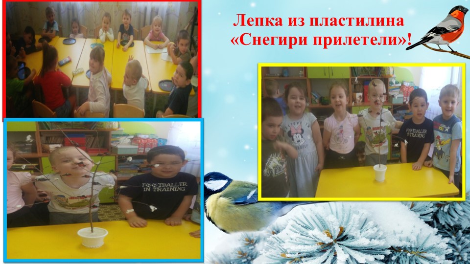 Презентация проекта "Покормите птиц зимой"