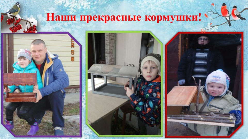 Презентация проекта "Покормите птиц зимой"
