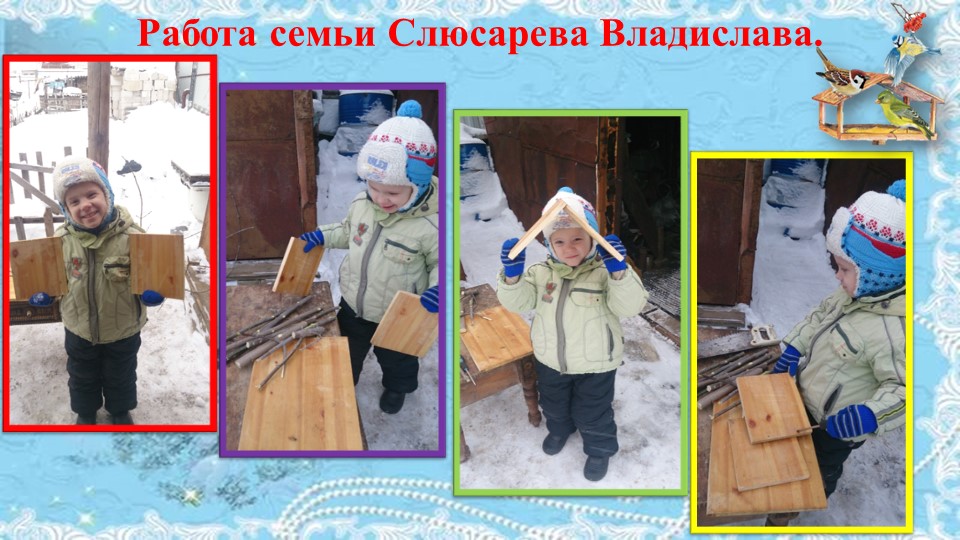 Презентация проекта "Покормите птиц зимой"