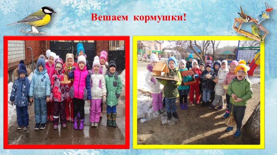 Презентация проекта "Покормите птиц зимой"