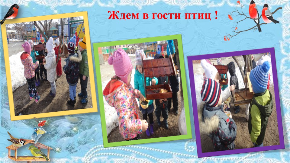 Презентация проекта "Покормите птиц зимой"