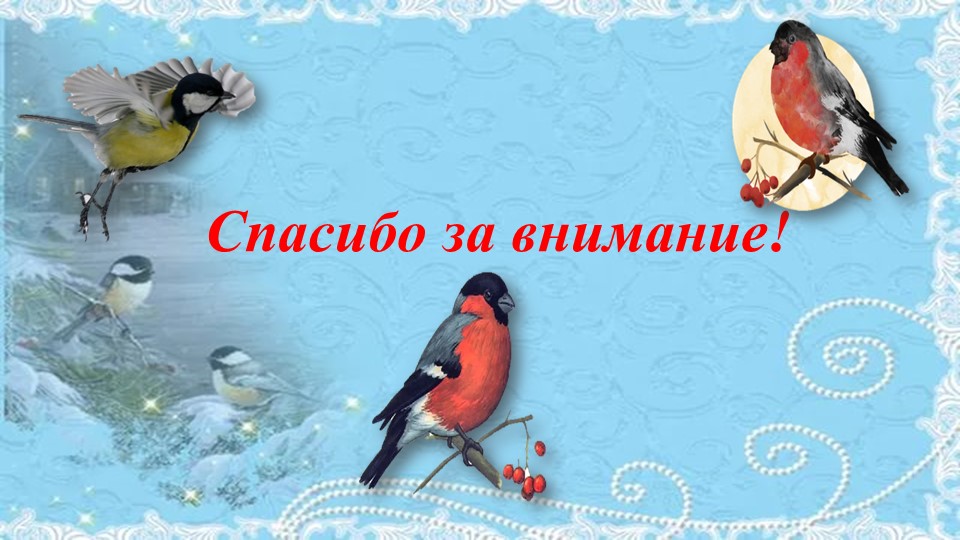 Презентация проекта "Покормите птиц зимой"