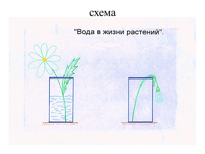 Презентация "Экспериментирование в старшей группе "Почемучки"