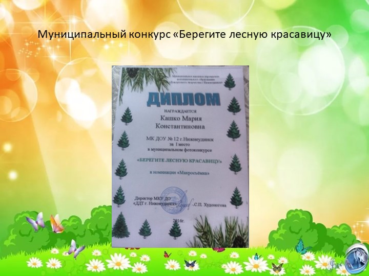 Творческая презентация по итогам педагогической работы за 2016 – 2017 учебный год