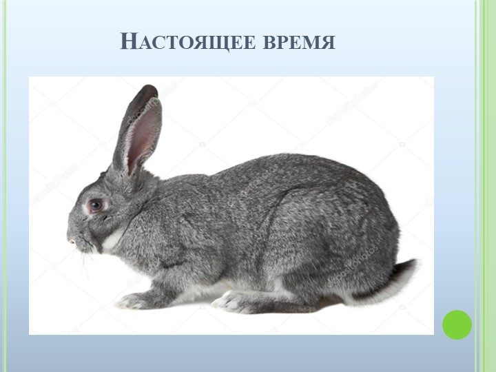 Презентация к ООД на тему "Домашние животные"