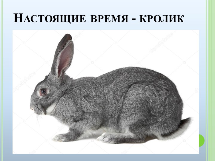 Презентация к ООД на тему "Домашние животные"