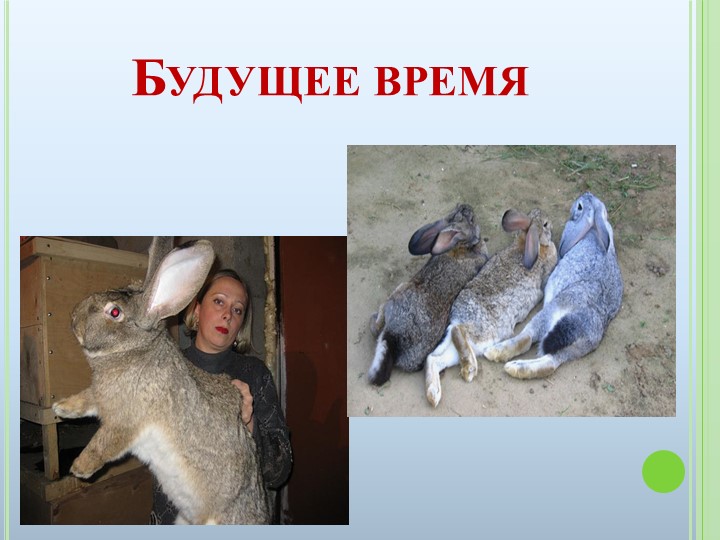 Презентация к ООД на тему "Домашние животные"