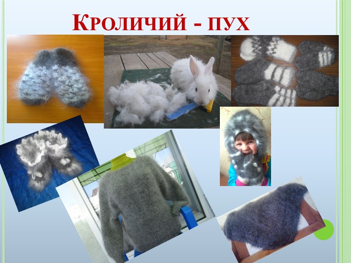 Презентация к ООД на тему "Домашние животные"