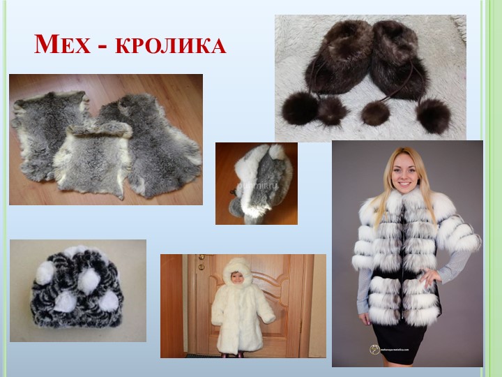 Презентация к ООД на тему "Домашние животные"