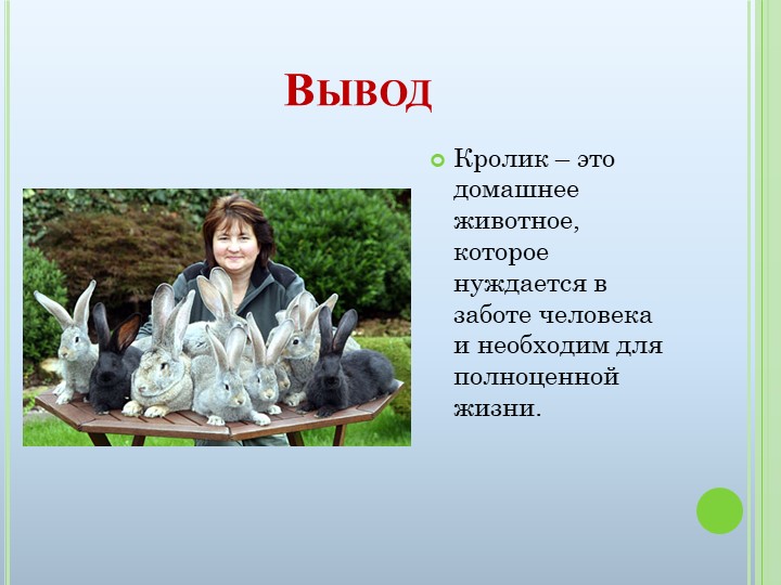 Презентация к ООД на тему "Домашние животные"