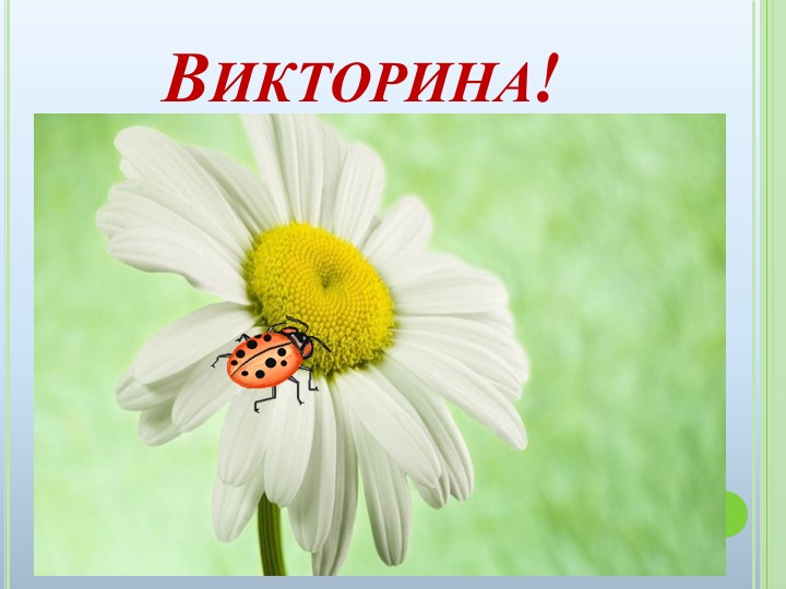 Презентация к ООД на тему "Домашние животные"