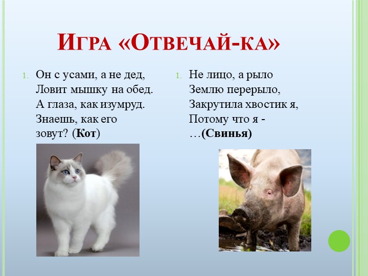 Презентация к ООД на тему "Домашние животные"