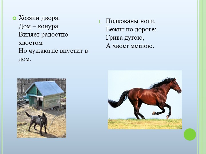 Презентация к ООД на тему "Домашние животные"
