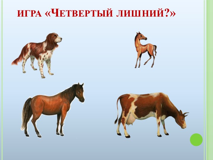 Презентация к ООД на тему "Домашние животные"