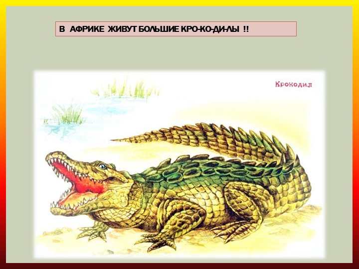Презентация по ознакомлению с природой "Животные жарких стран"