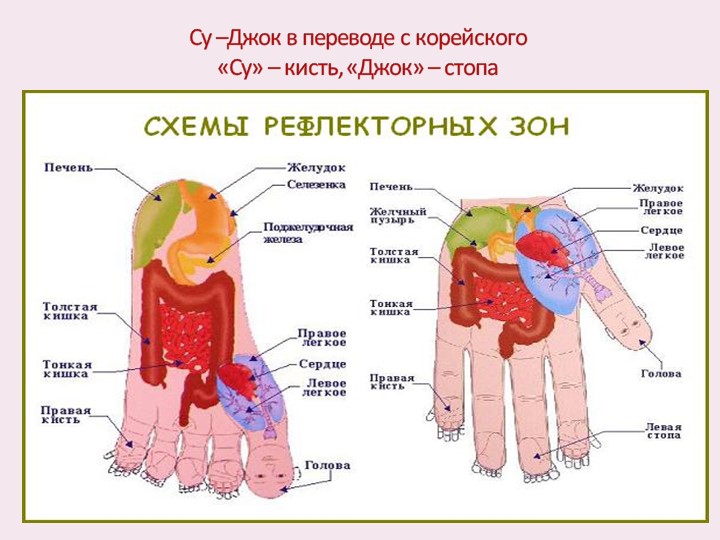 Презентация "Использование СУ -Джок терапии в работе с детьми дошкольного возраста"