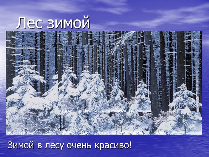 Презентация на тему "Звери зимой"