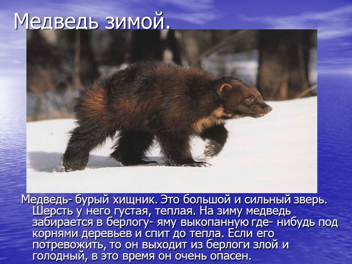 Презентация на тему "Звери зимой"